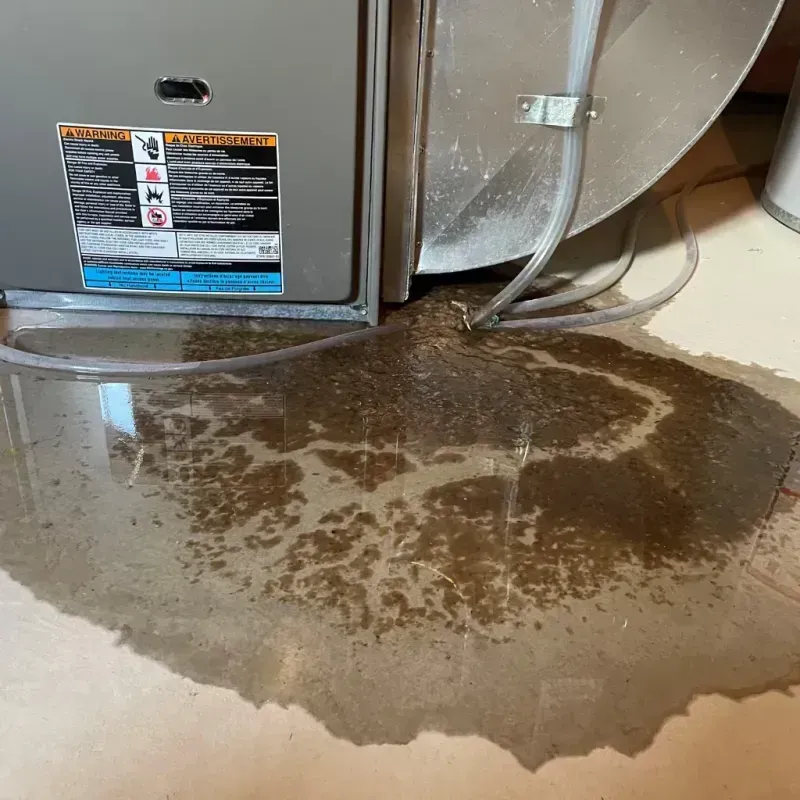 Appliance Leak Cleanup in Bel Air South, MD